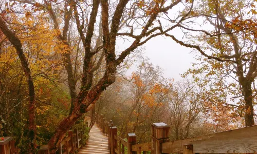 Xiling Snow Mountain