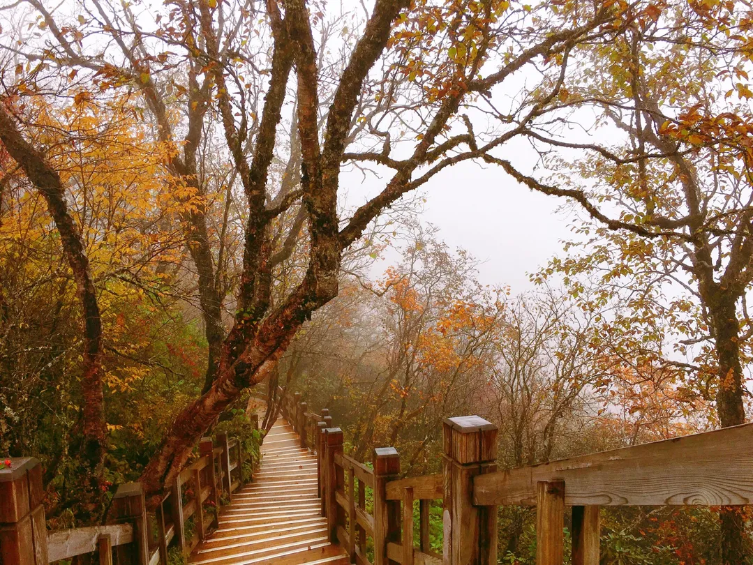 1_Xiling Snow Mountain