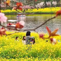 評論圖片 4