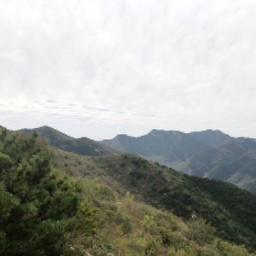 評論圖片 3