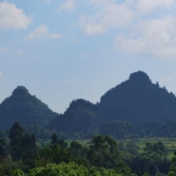 評論圖片 2
