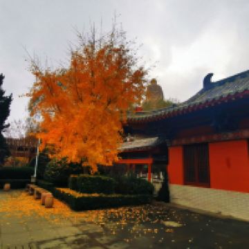 評論圖片 1