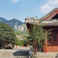 評論圖片 7