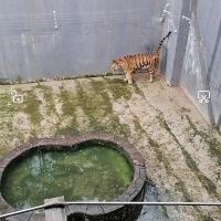 評論圖片 2