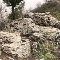 評論圖片 1