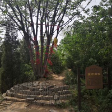 評論圖片 2