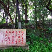 評論圖片 8