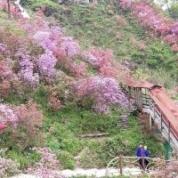 評論圖片 3
