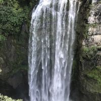 評論圖片 1