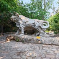 評論圖片 9