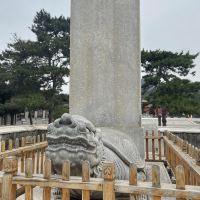 評論圖片 1
