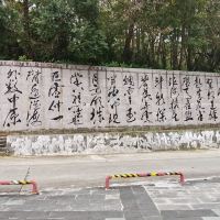 評論圖片 8