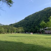 評論圖片 1