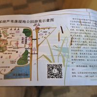 評論圖片 4