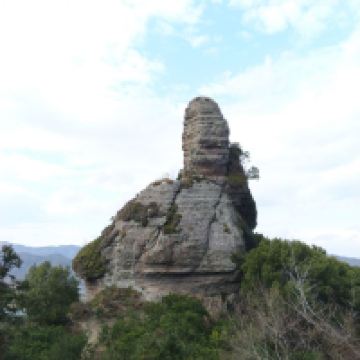 評論圖片 9