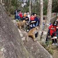 評論圖片 3