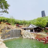 評論圖片 5