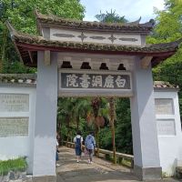評論圖片 5