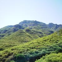 評論圖片 4