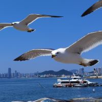 評論圖片 8