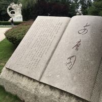 評論圖片 4