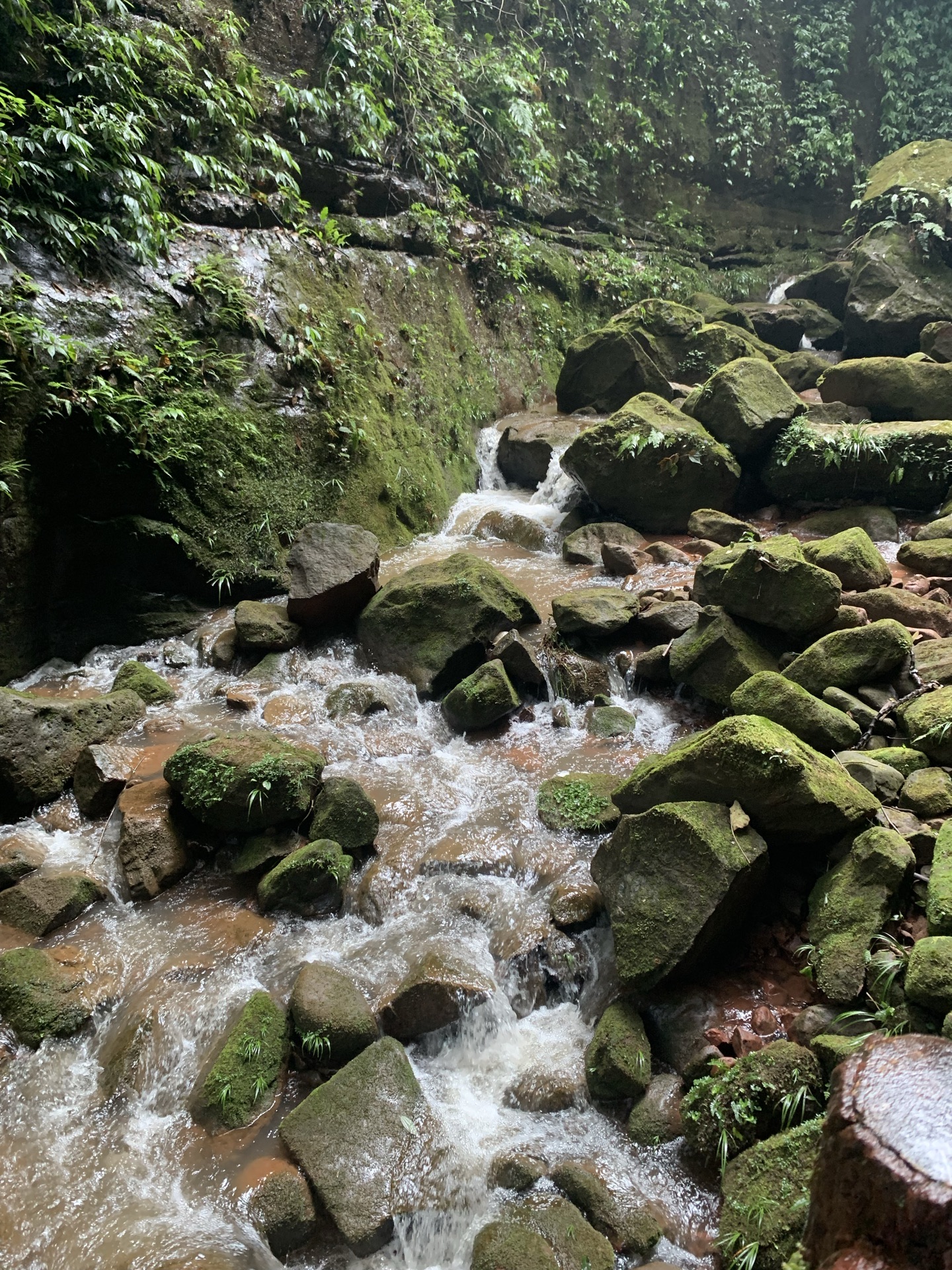 赤水 仏光岩 評判 案内 トリップドットコム