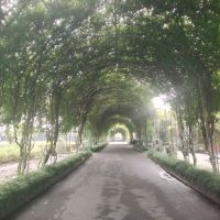 評論圖片 8