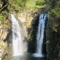 評論圖片 3