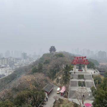 評論圖片 5
