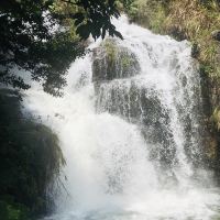 評論圖片 6