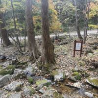 評論圖片 6