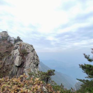 評論圖片 8