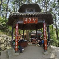 評論圖片 8