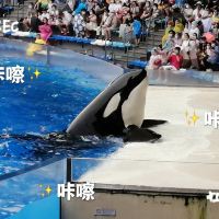 評論圖片 9