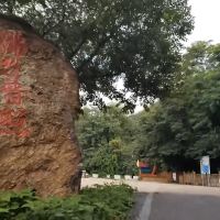 評論圖片 8