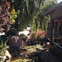 評論圖片 9