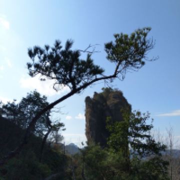 評論圖片 4