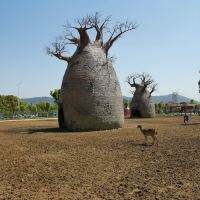 評論圖片 2