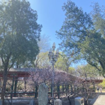 評論圖片 7