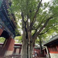 評論圖片 3