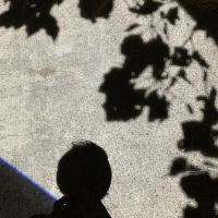 評論圖片 4
