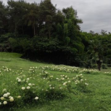 評論圖片 4