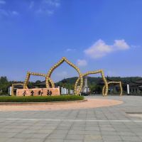 評論圖片 5