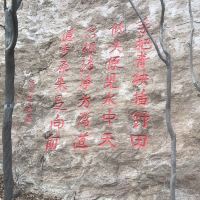 評論圖片 4