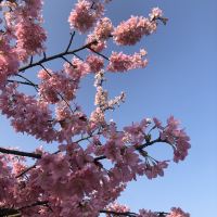 評論圖片 4