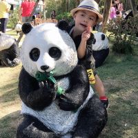 評論圖片 2