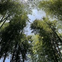 評論圖片 4