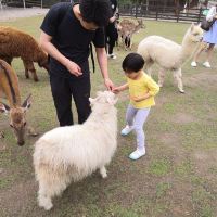 評論圖片 8