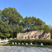 評論圖片 6