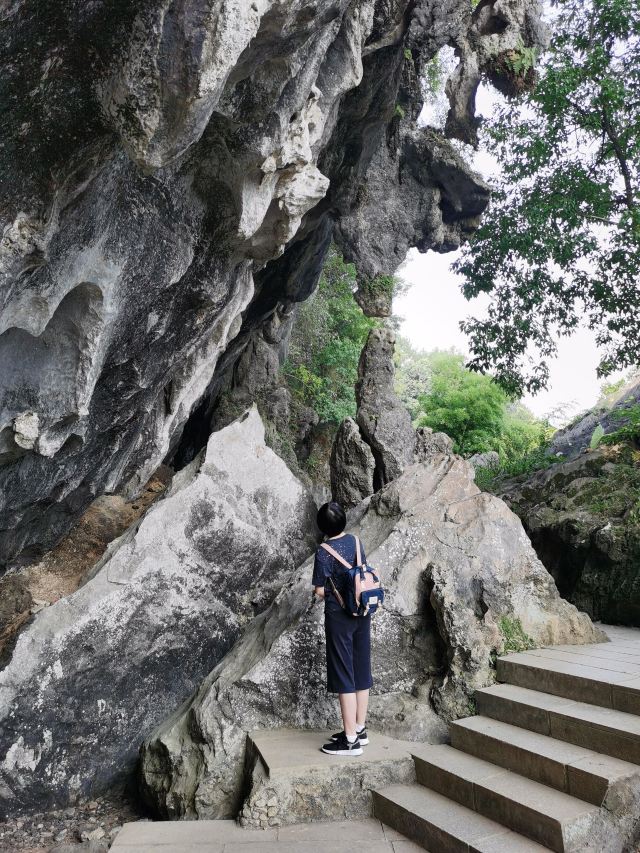 도원동